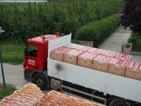 /album/erdgeschoss-decke-aufmauern/p7264634-fileminimizer-jpg/